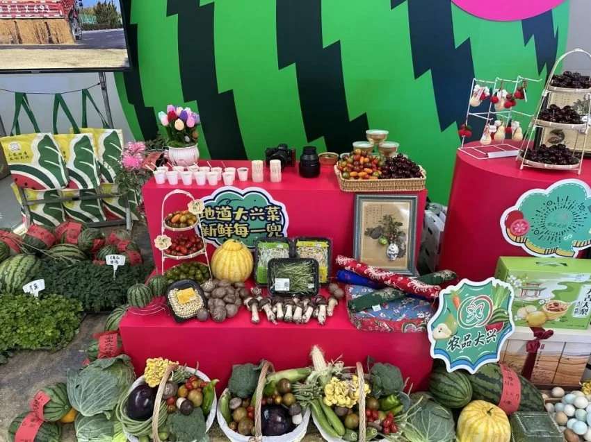 以瓜为媒 绘就发展“兴”图景——第37届北京大兴西瓜节启幕(图8)