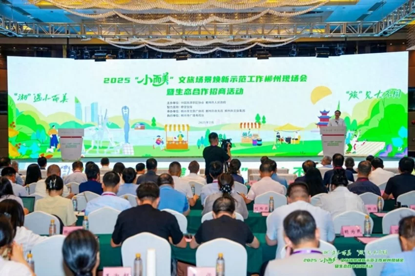 中传创展公司亮相 “小而美” 场景焕新示范工作郴州现场会