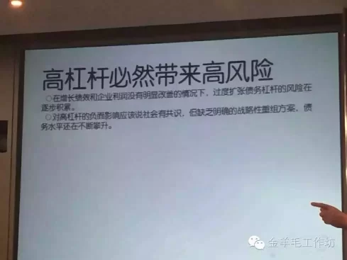 高层核心智囊痛心疾首:通过加杠杆去库存风险很大(图22) 高层核心智囊痛心疾首:通过加杠杆去库存风险很大(图22)