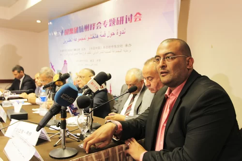 埃及专家:中国朋友把我们拉上经济航母(图2) 埃及专家:中国朋友把我们拉上经济航母(图2)