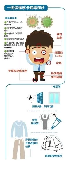 30名中国公民在新加坡感染寨卡 传播病毒或已变种(图1) 30名中国公民在新加坡感染寨卡 传播病毒或已变种(图1)