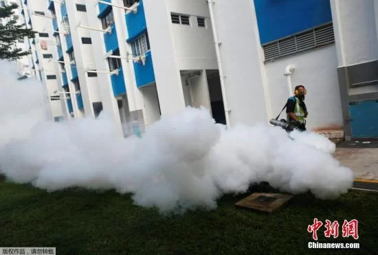 新加坡寨卡病例逾300 病株DNA与巴西病株有差异(图2)