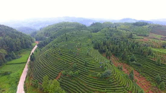 贵州贞丰:践行“两山理论”实现生态富民(图1) 贵州贞丰:践行“两山理论”实现生态富民(图1)