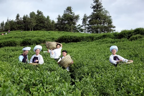 贵州贞丰:践行“两山理论”实现生态富民(图2) 贵州贞丰:践行“两山理论”实现生态富民(图2)